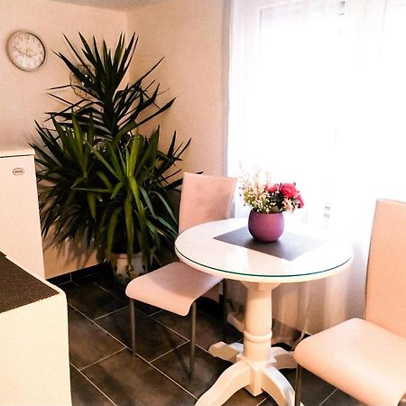 Apartman Andrea 4 바냐루카 객실 사진